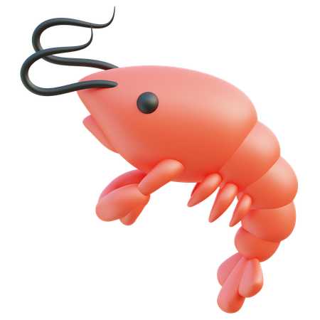 Shrimp  3D Icon
