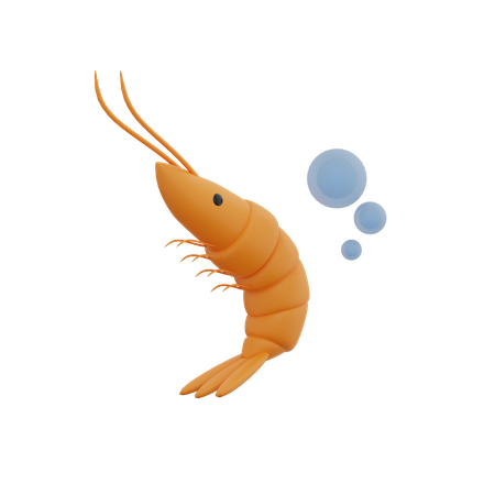 Shrimp  3D Illustration