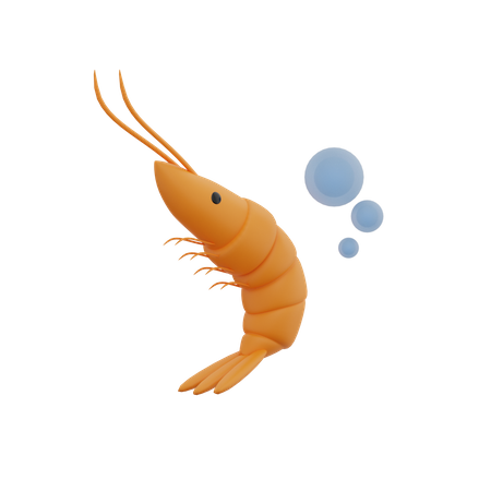 Shrimp 3D Illustration