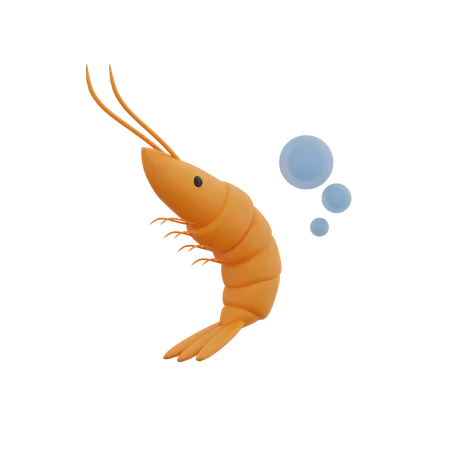 Shrimp 3D Illustration