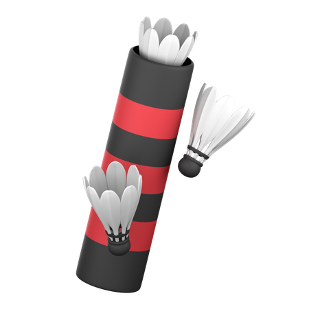 Shuttlecock Case  3D Icon