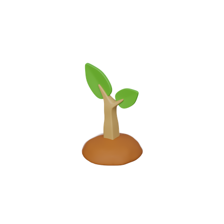 Siembra de plantas  3D Icon