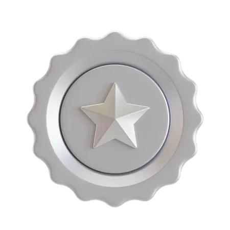 실버 배지  3D Icon