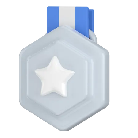 Silver Hexagonal Badge 3D Icon