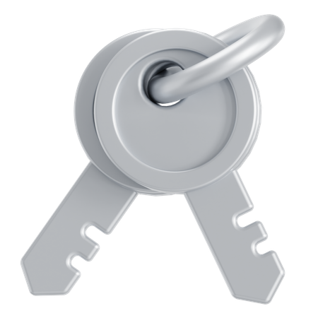 Silver keys  3D Icon