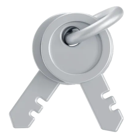 Silver keys  3D Icon