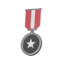 Silver medal