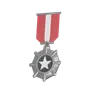 Silver medal