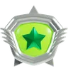 Silver Rank Badges