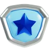 Silver Rank Badges