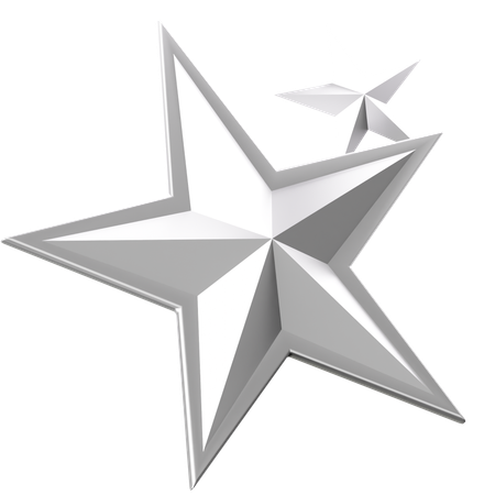 Silver Star  3D Icon