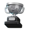 Silver Trophy