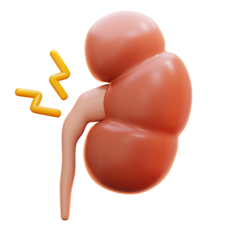 Síndrome renal  3D Icon