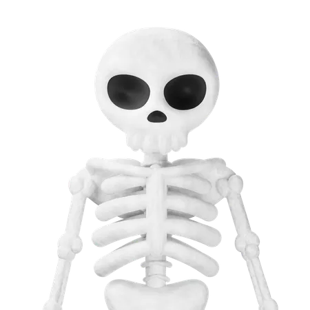 Skeleton  3D Icon