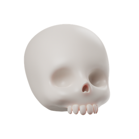 Skeleton  3D Icon