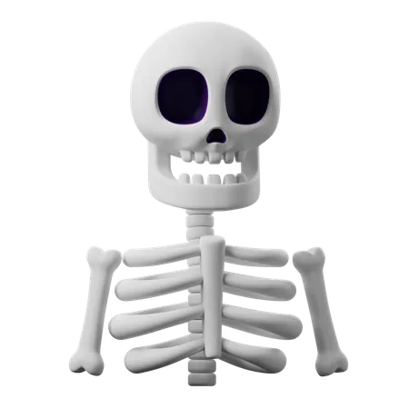 Skeleton  3D Icon