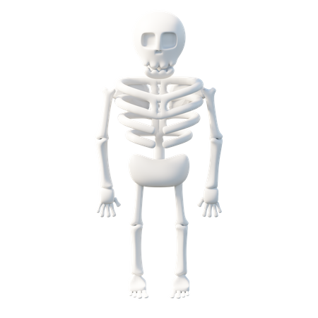 Skeleton  3D Icon