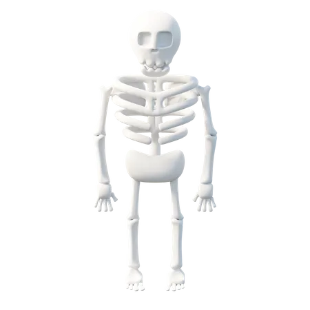 Anatomical LEGO Man Skeleton PNG Images & PSDs for Download