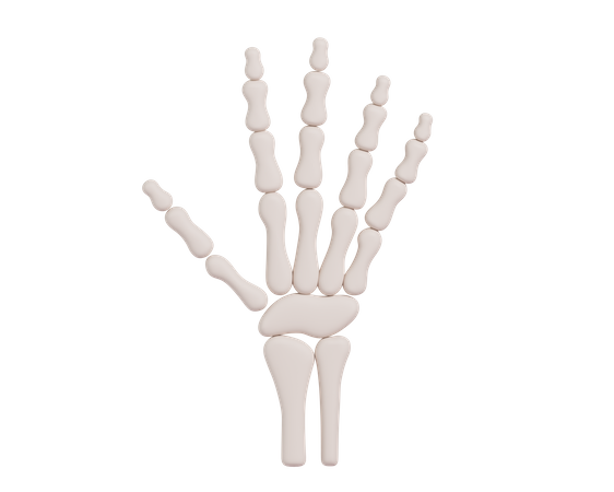 Skeleton Hand 3D Icon