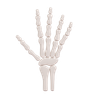 skeleton hand 3d logo