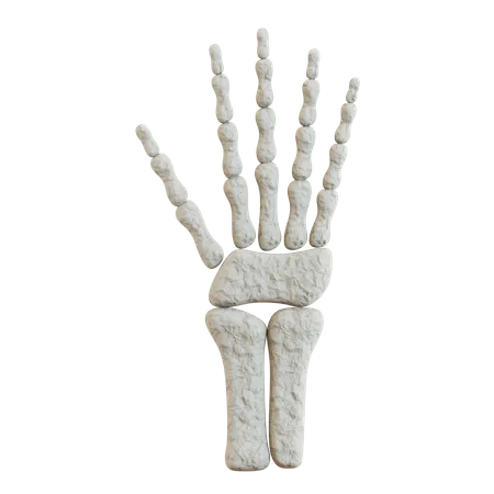 3 D Skeleton Hand Illustration 3D Icon