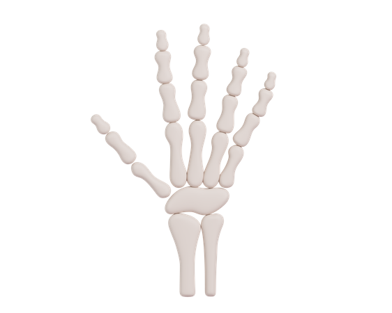 Skeletthand  3D Icon