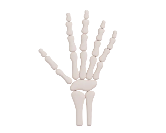 Skeletthand  3D Icon