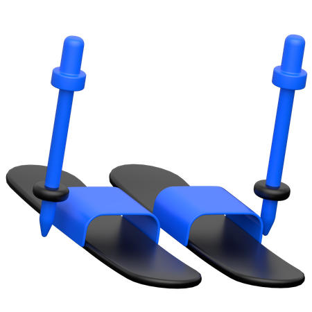 스키  3D Icon