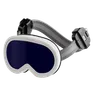 Ski Goggles