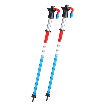 Ski Poles  3D Icon