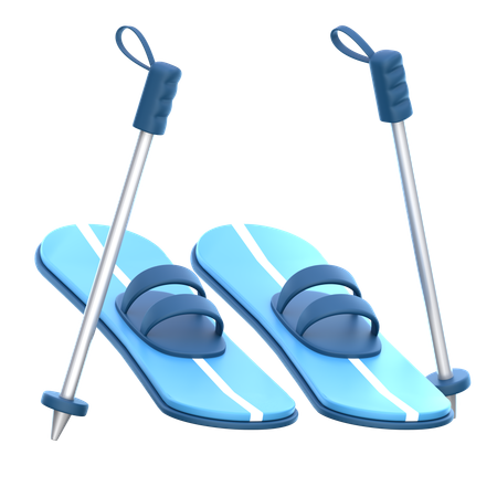 Ski poles  3D Icon