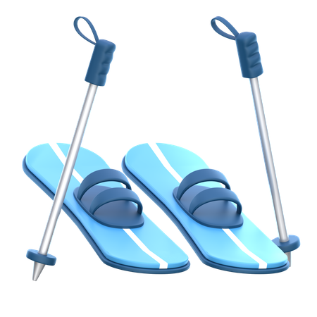 Ski poles  3D Icon