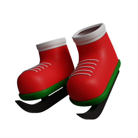 Ski Shoes  3D Icon