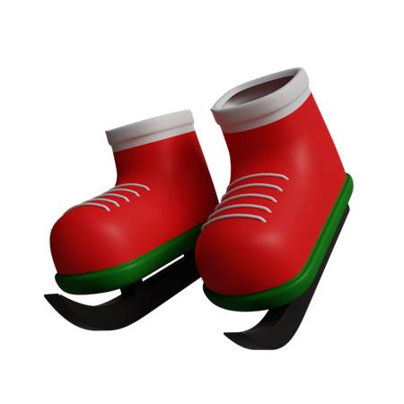 Ski Shoes  3D Icon