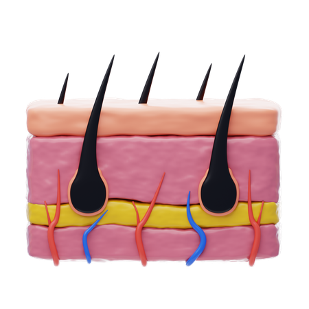 피부 털  3D Icon