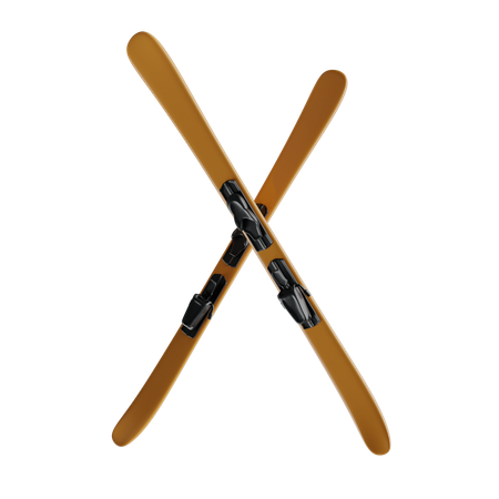 Skis  3D Icon