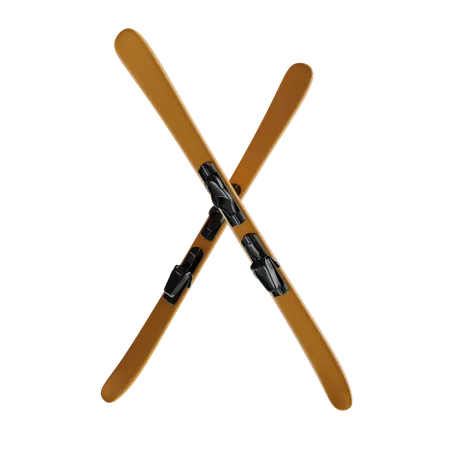 Skis  3D Icon