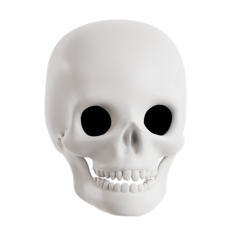 Skull  3D Icon