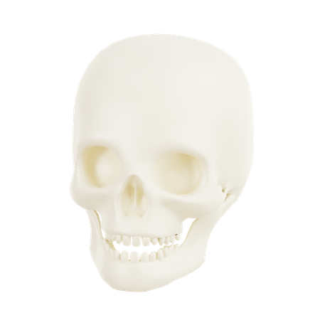 Skull  3D Icon