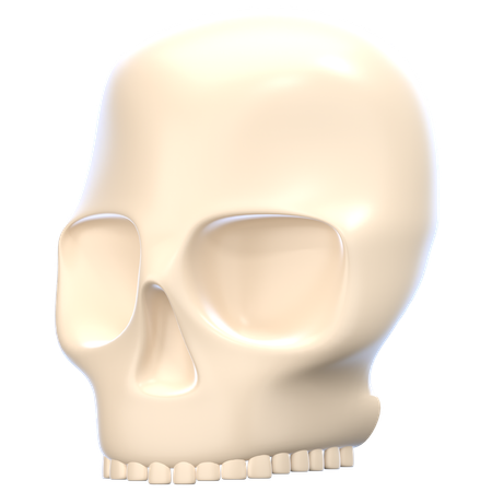 Skull  3D Icon