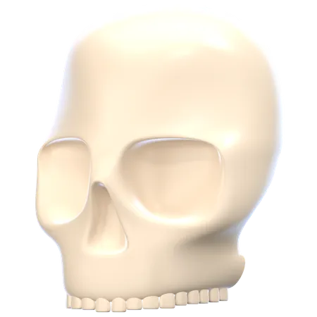 Skull  3D Icon