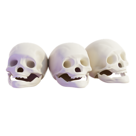 Skull  3D Icon