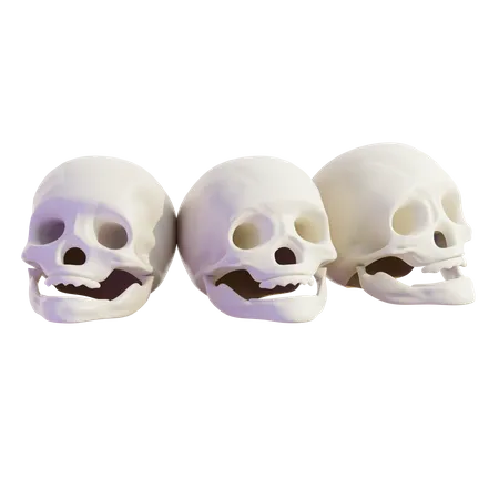 Skull  3D Icon