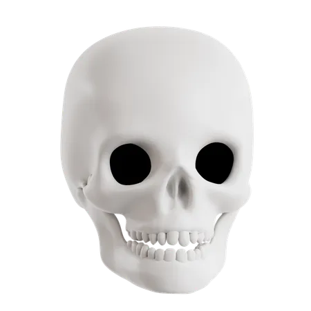 Skull  3D Icon