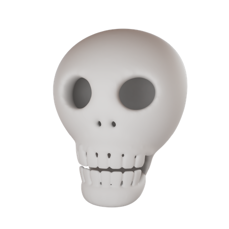 Skull  3D Illustration