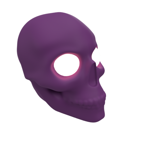 Skull  3D Illustration