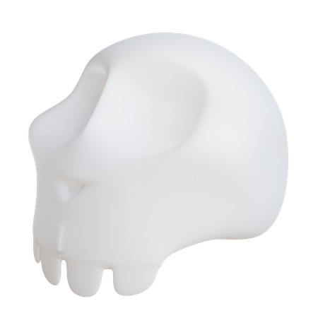 Skull  3D Illustration