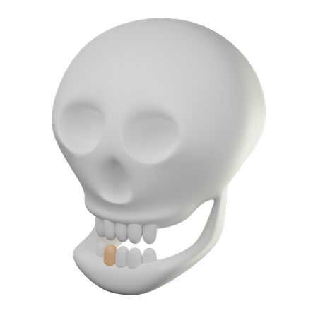 Skull  3D Icon