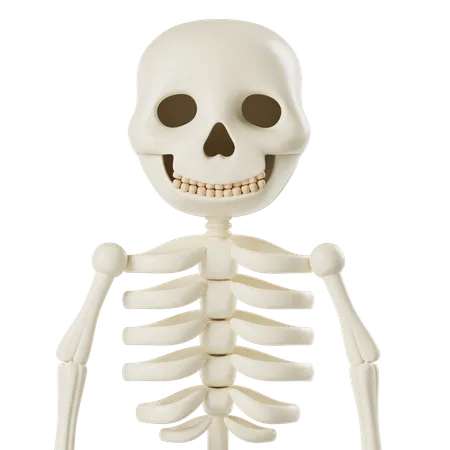 Skull Bone  3D Icon