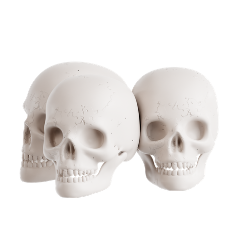 Skulls  3D Icon